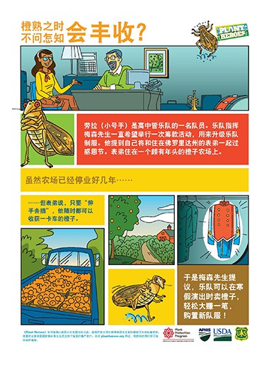 Asian Citrus Psyllid Chinese Page 1