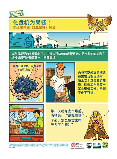 Comic-Light Brown Apple Moth Chinese Page 1