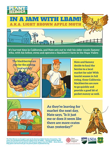 Comic-Light Brown Apple Moth Page 2