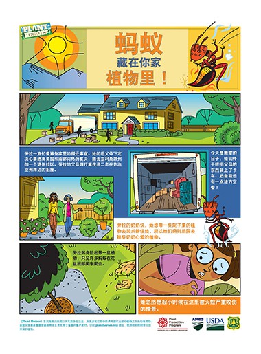 Comic Red Imported Fire Ant Chinese Page 1