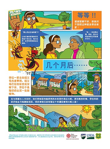 Comic Red Imported Fire Ant Chinese Page 2