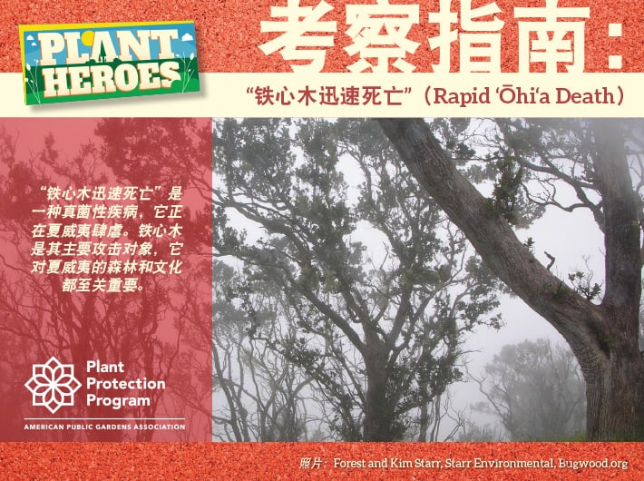 Field Guide - Rapid ‘Ōhi‘a Death Chinese