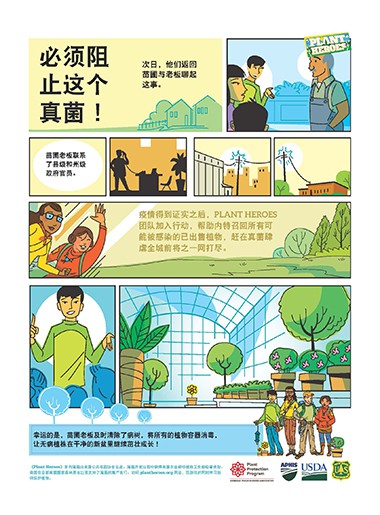 Comic Sudden Oak Death Chinese Page 2