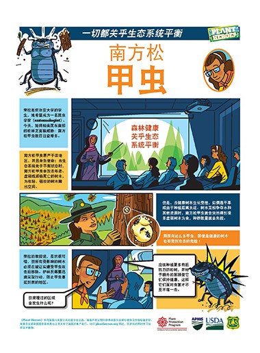 Comic-Southern Pine Beetle Chinese Page 1