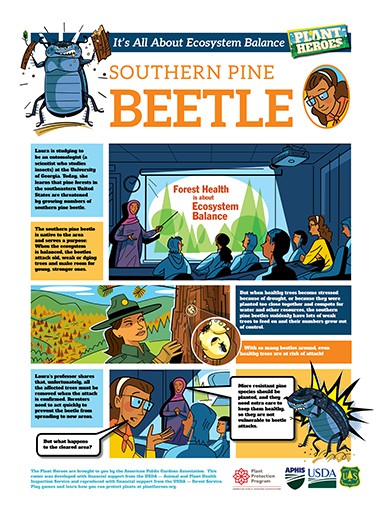 Comic-Southern Pine Beetle Page 1