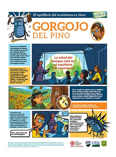 Comic-Southern Pine Beetle Spanish Page 1