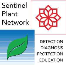 sentinel plant network logo