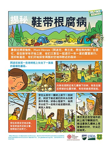Comic-Shoestring Root Rot Chinese Page 1