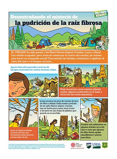 Comic-Shoestring Root Rot Spanish Page 1
