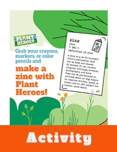 Bug Zine English