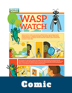 Comic Thumbnail emerald ash borer english
