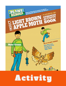 Thumbnail Activity Light Brown Apple Moth 3-5