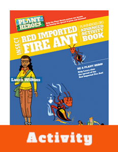 Thumbnail Activity Red imported fire ant 3-5