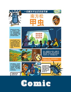 Comic Thumbnail Southern Pine Beetle Chinese