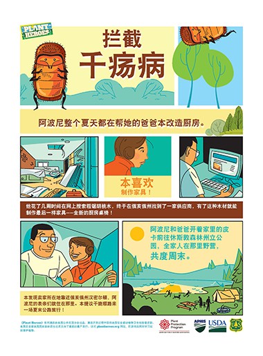 Comic Walnut Twig Beetle Chinese Page 1