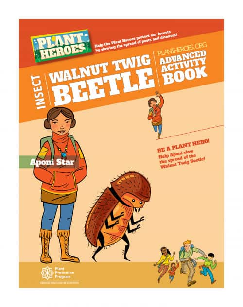 Activity- Walnut Twig Beetle(Grades 3-5)