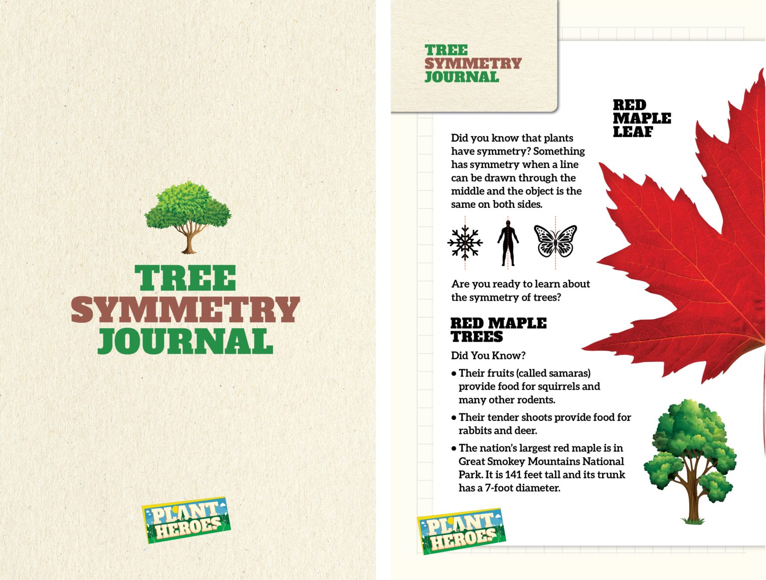 pages 1 and 2 of the tree symmetry journal