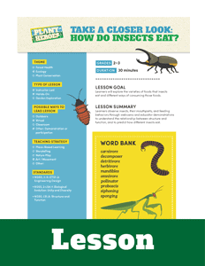 cover of the how do insect eat lesson plan