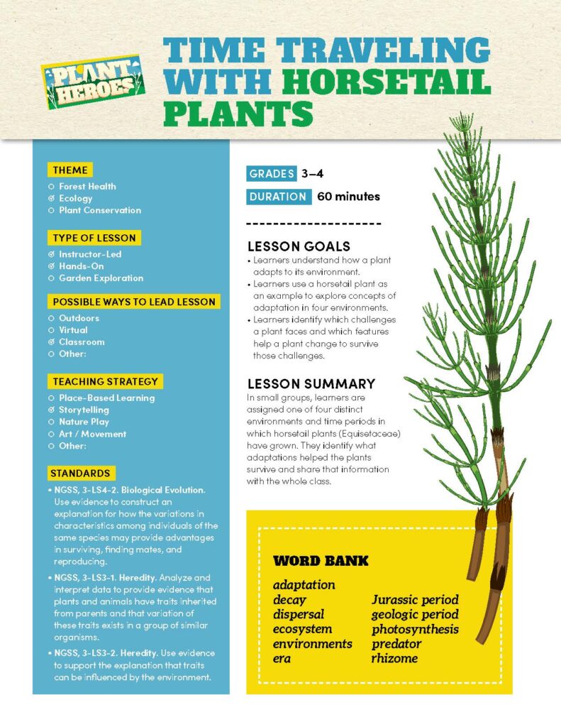 First page of the Time Traveling With Horsetail Plants lesson