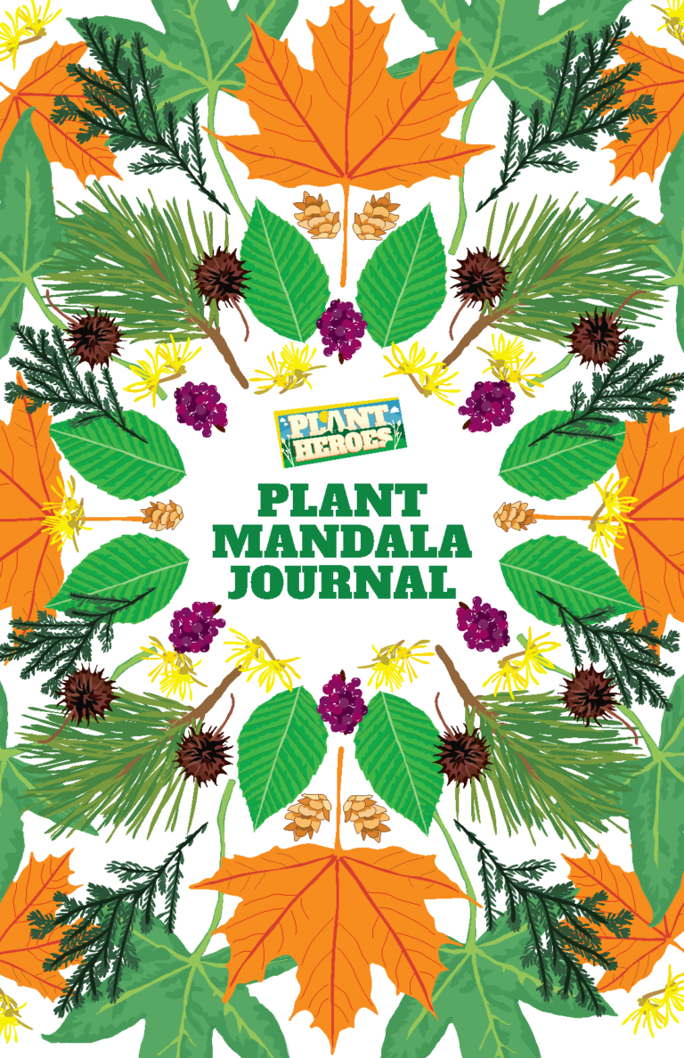 cover image of the plant mandala journal with colorful leaves and seeds