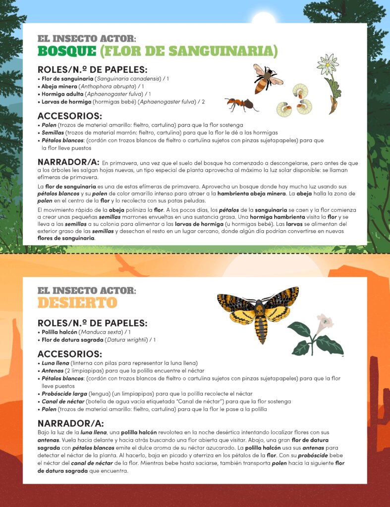 Image of insect role playing card in lesson