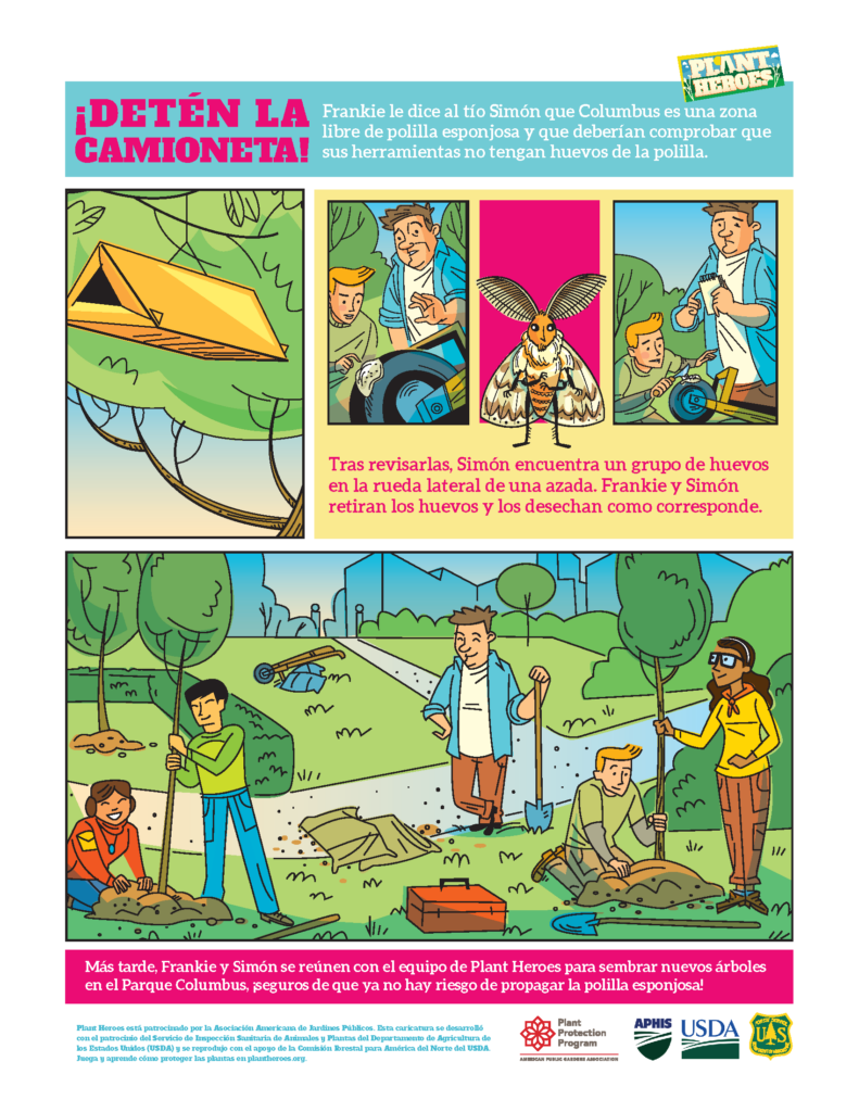 page 2 of the comic about spongy moths in Spanish with text and colorful illustrations