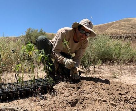 Joshua planting native seedlings as a ranger
