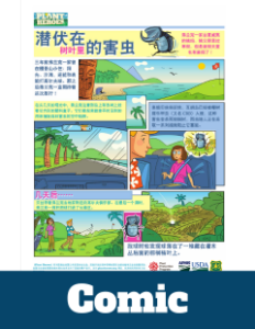 front pages of the coconut rhinoceros beetle comic in Chinese