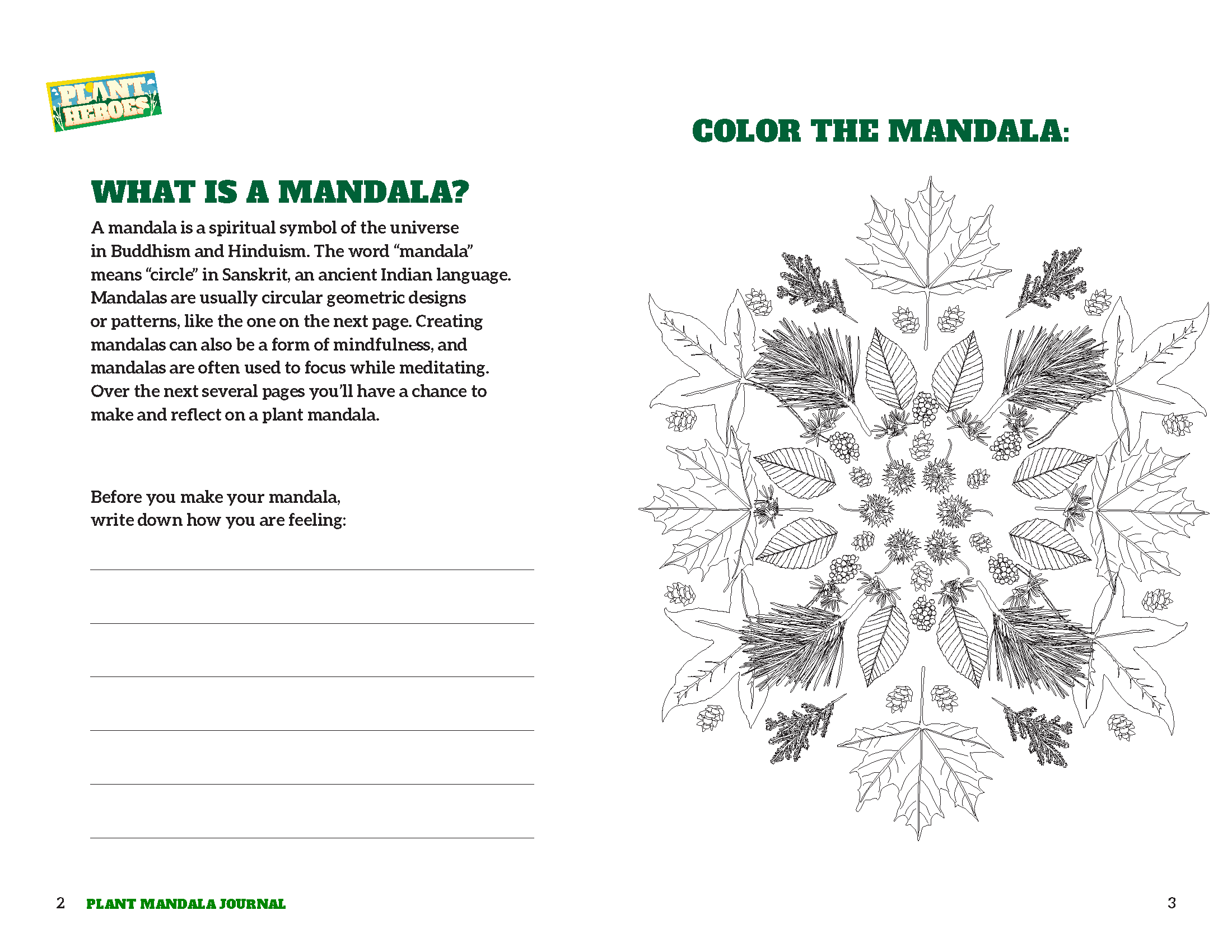 black and white drawing of a plant mandala and space for journaling