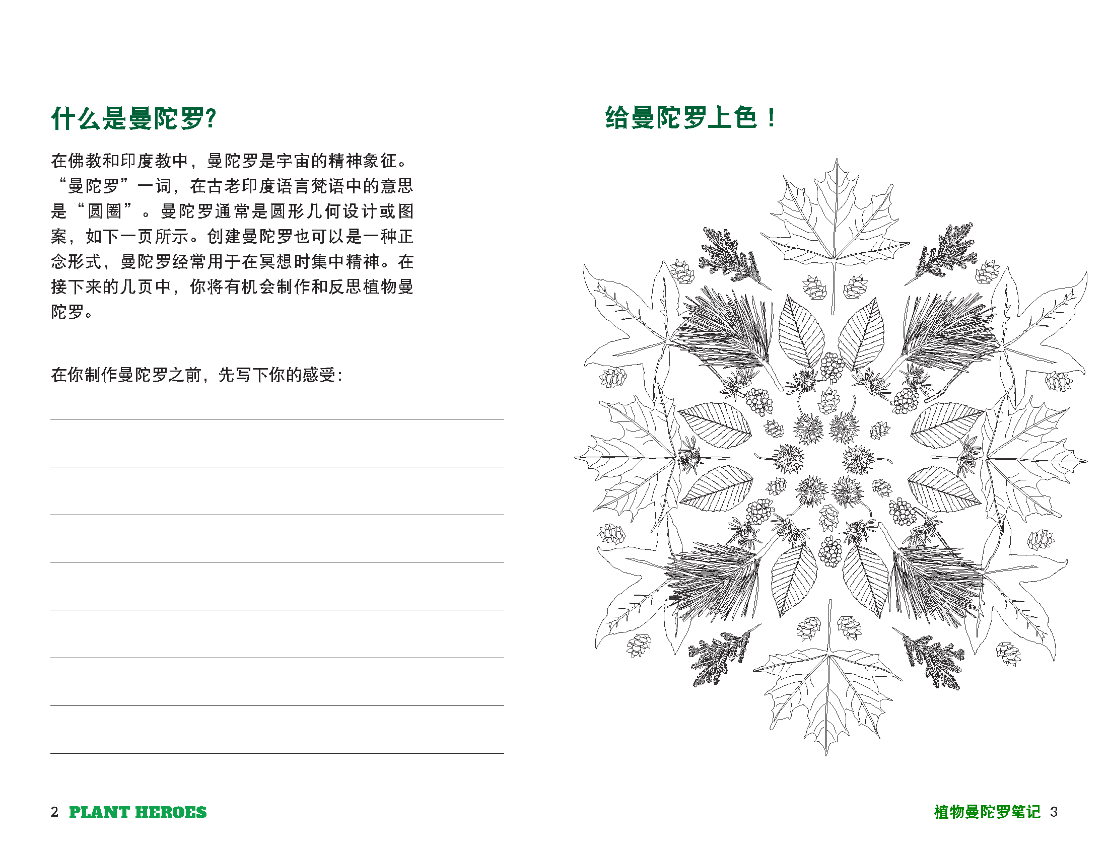 blank white coloring sheet of a plant mandala
