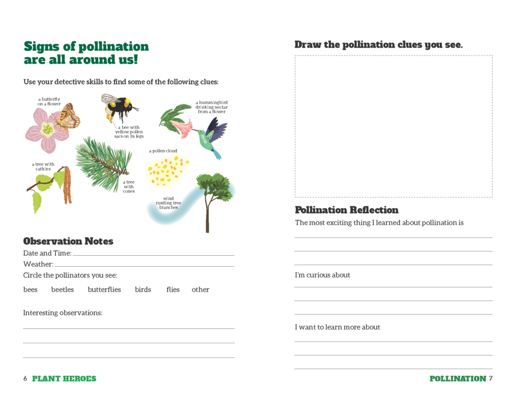 journal page with images of pollinators