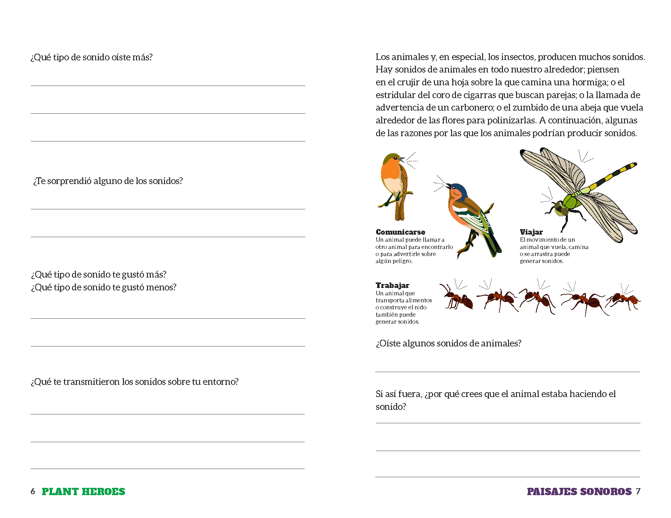 internal pages of the soundscapes journal with images of birds, dragonfly and ants