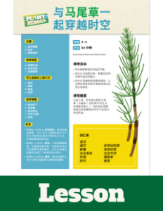 Front cover image of the horsetail lesson plan in Chinese