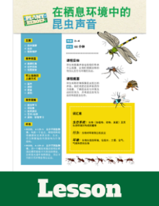 Cover image of the insect sounds lesson plan in Chinese