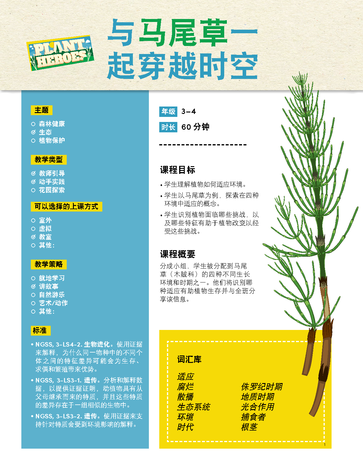 Front cover of the horsetail lesson plan in Chinese with a image of a horsetail plant