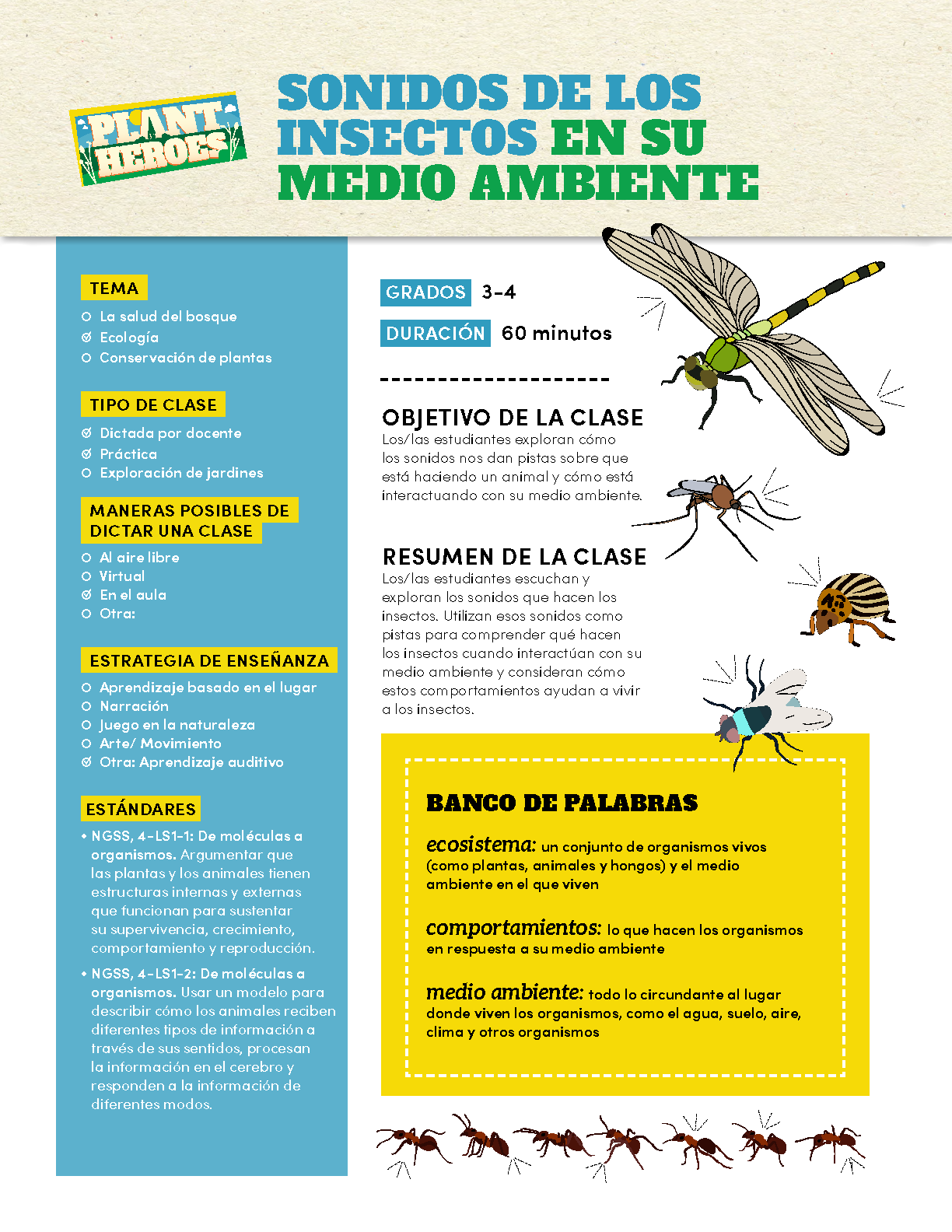 front page of the insects sounds lesson plan in Spanish with images of dragonflies
