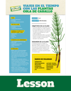 Cover image of the front page of the horsetail lesson plan in Spanish.
