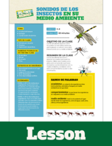 Cover images of the insect sounds lesson plan