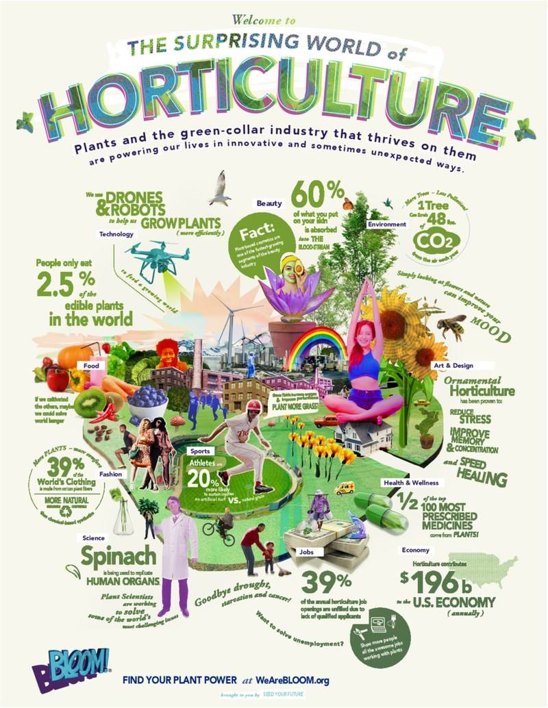 infographic of careers in horticulture